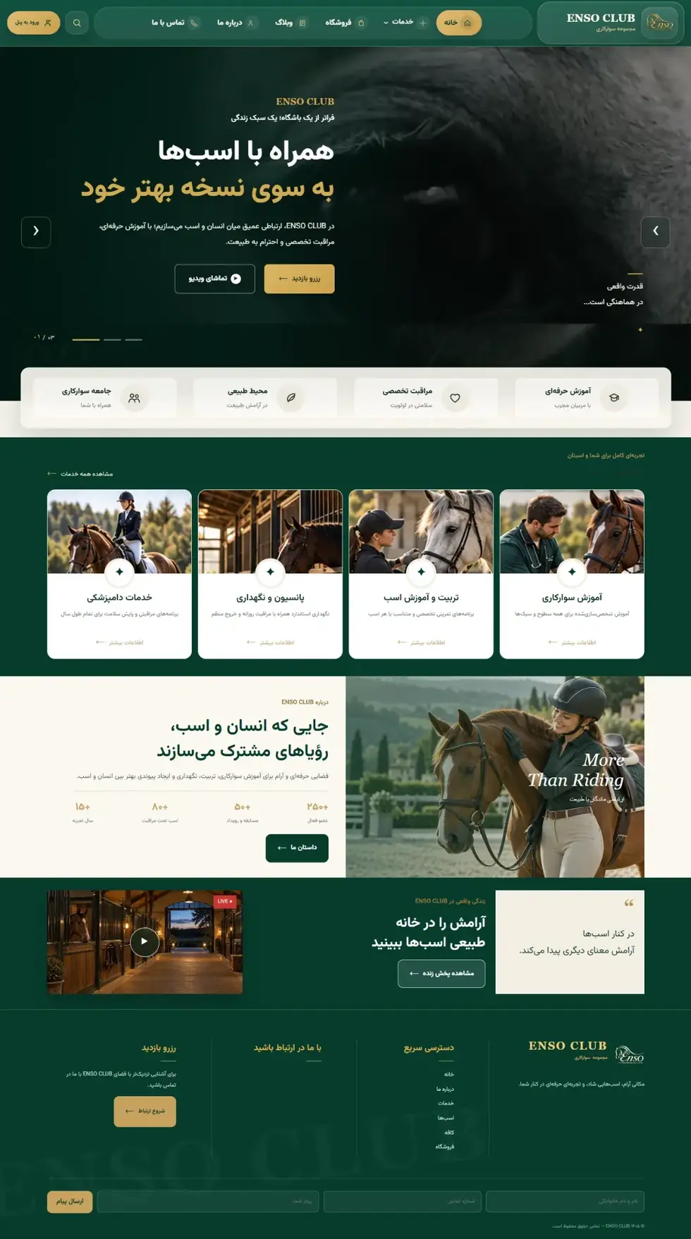 نمونه کار ENSO CLUB